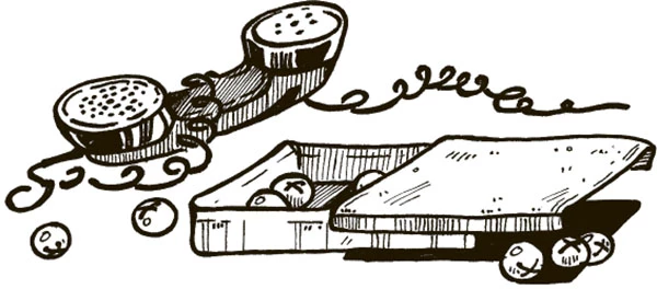 Иллюстрация к книге — Гумберт Гумберт [i_003.webp]