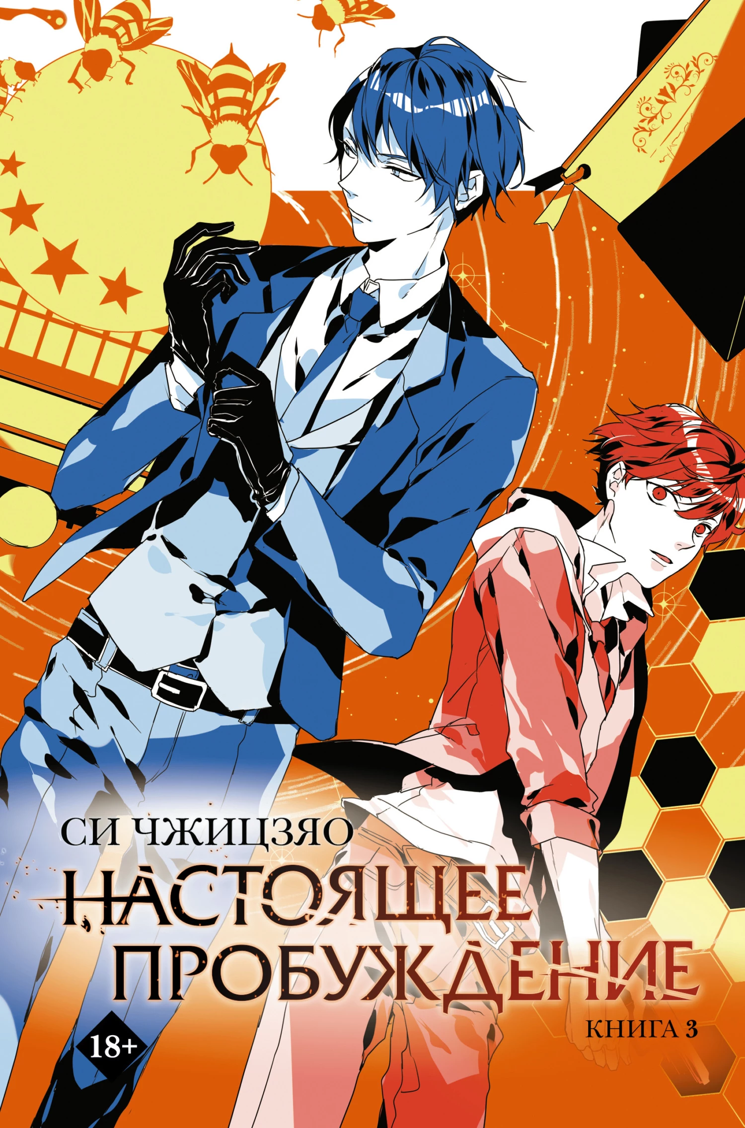 Книга Настоящее пробуждение. Real Awakening. Книга 3