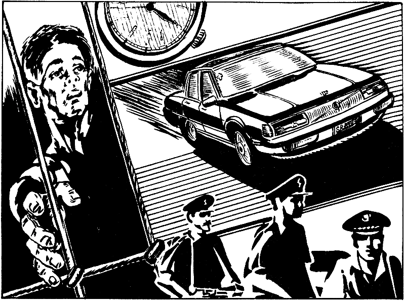 Иллюстрация к книге — Горячий камушек [i_002.webp]