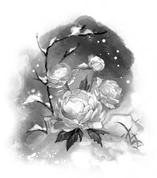 Иллюстрация к книге — Цветы пиона на снегу. Том 4 [i_001.webp]