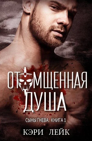 Книга Отомщенная душа
