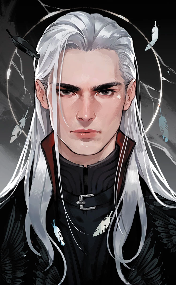 Иллюстрация к книге — Крылья возмездия [i_003.webp]