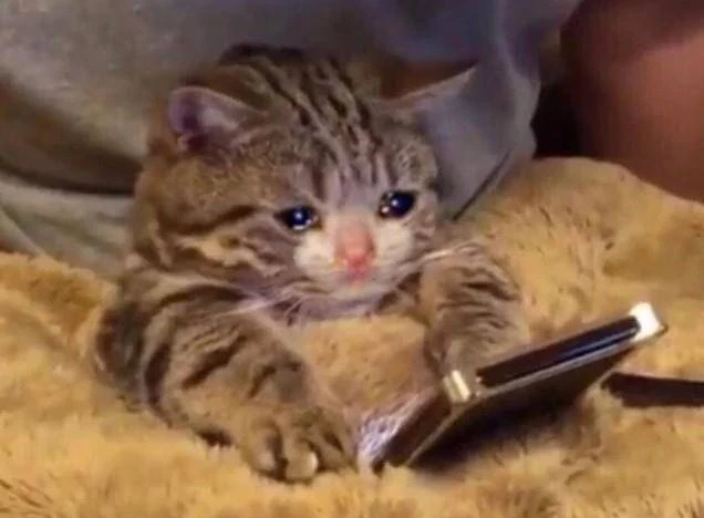 Иллюстрация к книге — В самом Сердце Стужи. Том III [d81c1dee-5f33-4179-8d08-a281765954f7.webp]