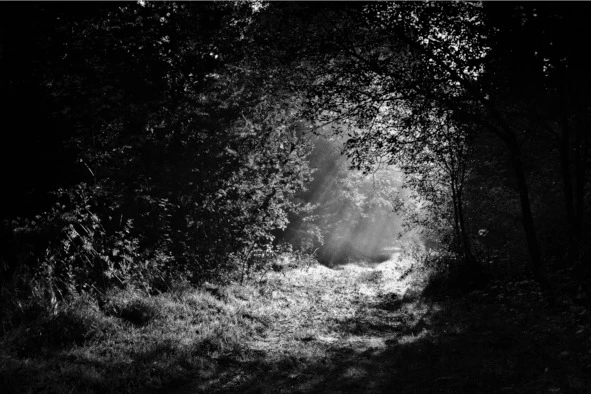 Иллюстрация к книге — О чём молчали города. Мистические истории [image12_5a367338755a2c06007dcb1c_jpg.webp]