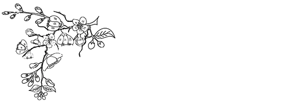 Иллюстрация к книге — Светлый пепел луны. Книга 1 [i_006.webp]