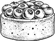 Иллюстрация к книге — Братство пекарей и магов [i_027.webp]