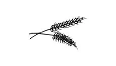 Иллюстрация к книге — Братство пекарей и магов [i_037.webp]