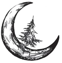 Иллюстрация к книге — Нити Дочерей Ночи [i_003.webp]