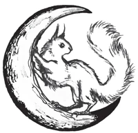 Иллюстрация к книге — Нити Дочерей Ночи [i_006.webp]