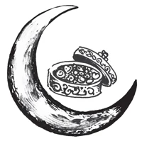 Иллюстрация к книге — Нити Дочерей Ночи [i_014.webp]