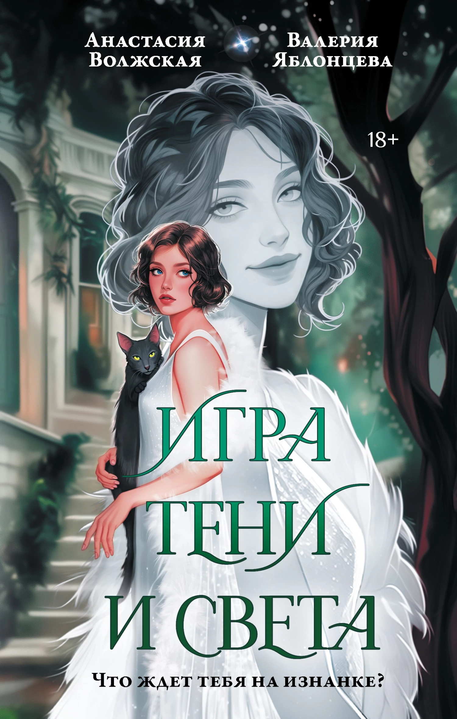 Книга Игра тени и света