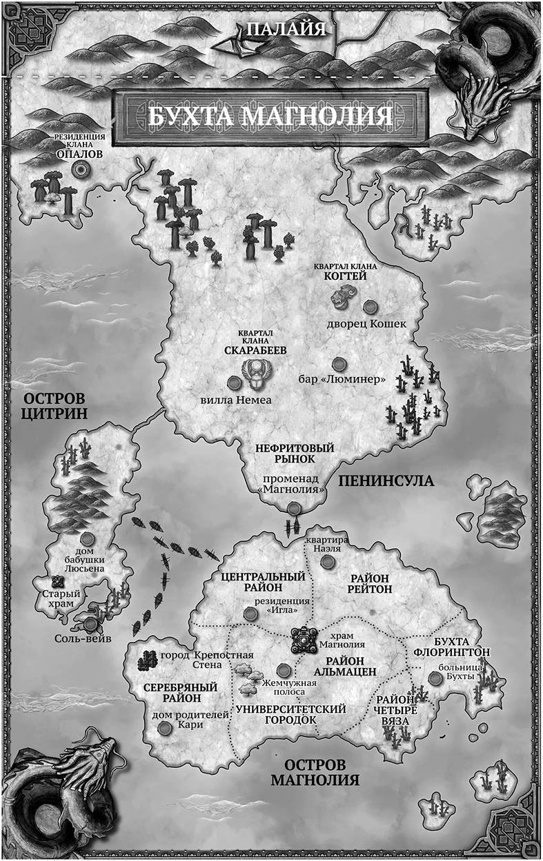 Иллюстрация к книге — Бухта Магнолия. Магия, чистая и злая [i_003.webp]