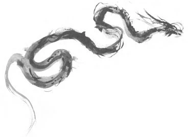 Иллюстрация к книге — Последний дракон Востока. В нитях любви [i_010.webp]