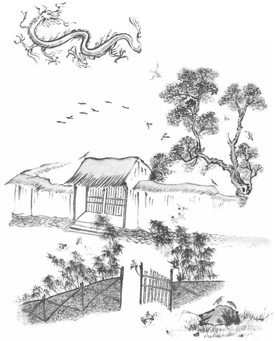 Иллюстрация к книге — Последний дракон Востока. В нитях любви [i_012.webp]