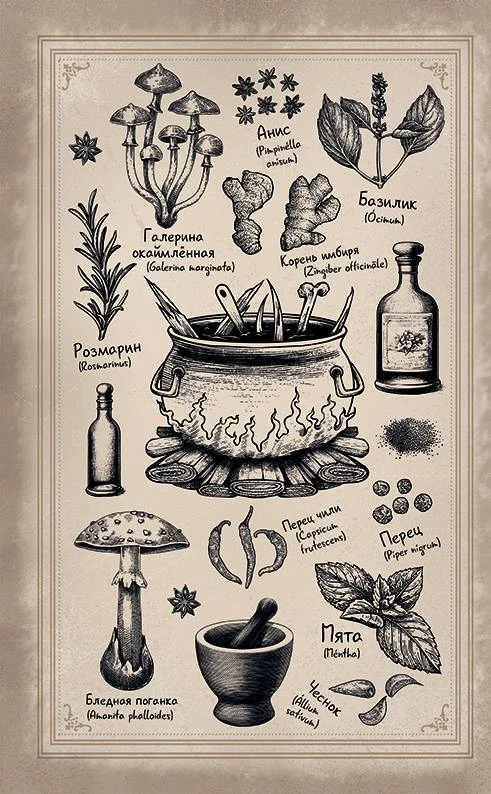 Иллюстрация к книге — Волшебная лавка Софи. Артефакт для наследницы [i_012.webp]