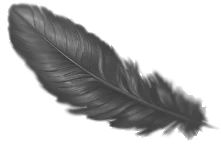 Иллюстрация к книге — Присяга фортуны [i_001.webp]