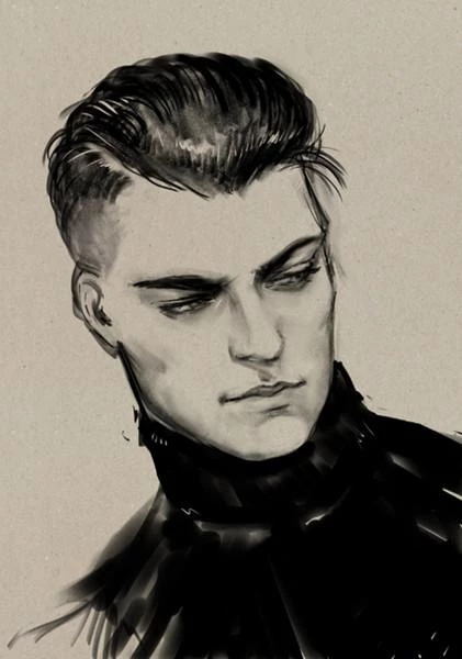 Иллюстрация к книге — Звезда в академии драконов [i_001.webp]