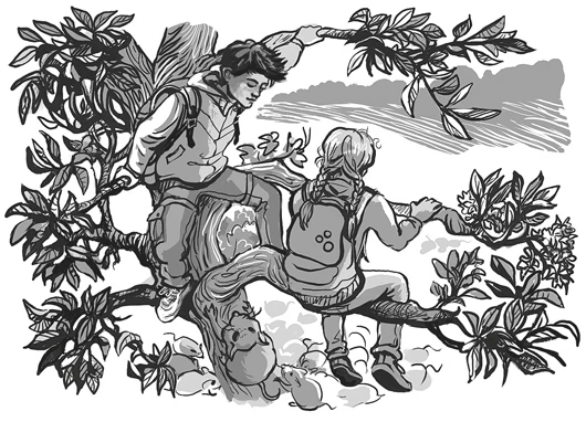 Иллюстрация к книге — Тайна мышиного короля [i_002.webp]