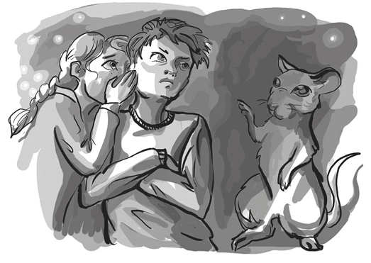 Иллюстрация к книге — Тайна мышиного короля [i_011.webp]