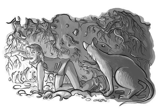 Иллюстрация к книге — Тропы между мирами [i_010.webp]