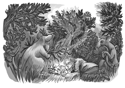 Иллюстрация к книге — Тропы между мирами [i_012.webp]