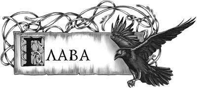 Иллюстрация к книге — Пробуждение Тьмы [i_014.webp]