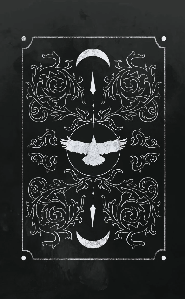 Иллюстрация к книге — Пробуждение Тьмы [i_037.webp]