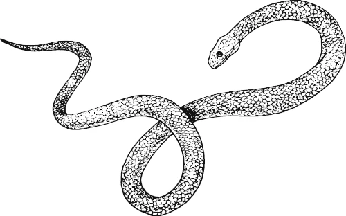 Иллюстрация к книге — Ошибка Пустыни [i_005.webp]