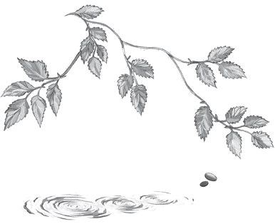 Иллюстрация к книге — Мутные воды [i_002.webp]