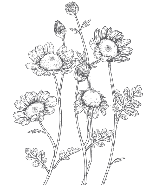 Иллюстрация к книге — Папа, я против этого брака! Том 1 [i_006.webp]