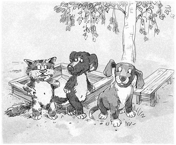 Иллюстрация к книге — Кот Страус и пещера страха [i_001.webp]