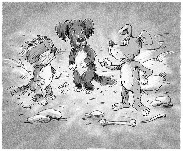 Иллюстрация к книге — Кот Страус и пещера страха [i_017.webp]