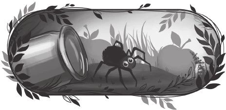 Иллюстрация к книге — Пропавшая планета [i_001.webp]