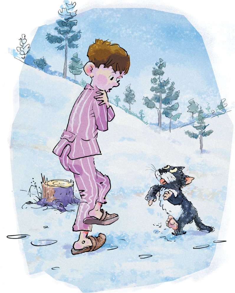 Иллюстрация к книге — Волшебная палочка и прочие неприятности [i_012.webp]