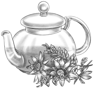 Иллюстрация к книге — Самайн у ведьмы пограничья [i_007.webp]