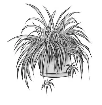 Иллюстрация к книге — Ночь упырей [i_013.webp]