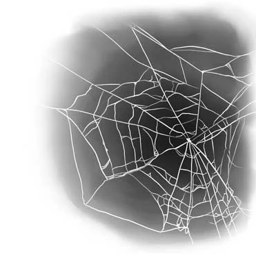 Иллюстрация к книге — Ночь упырей [i_022.webp]