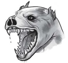 Иллюстрация к книге — Отсутствие жизни [i_023.webp]