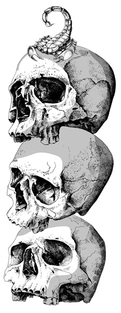 Иллюстрация к книге — Орден Скорпионов [i_001.webp]