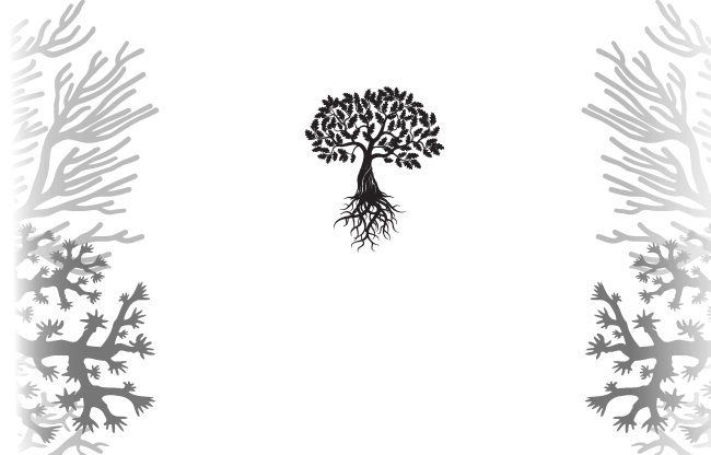 Иллюстрация к книге — Дуэт с герцогом сирен [i_004.webp]