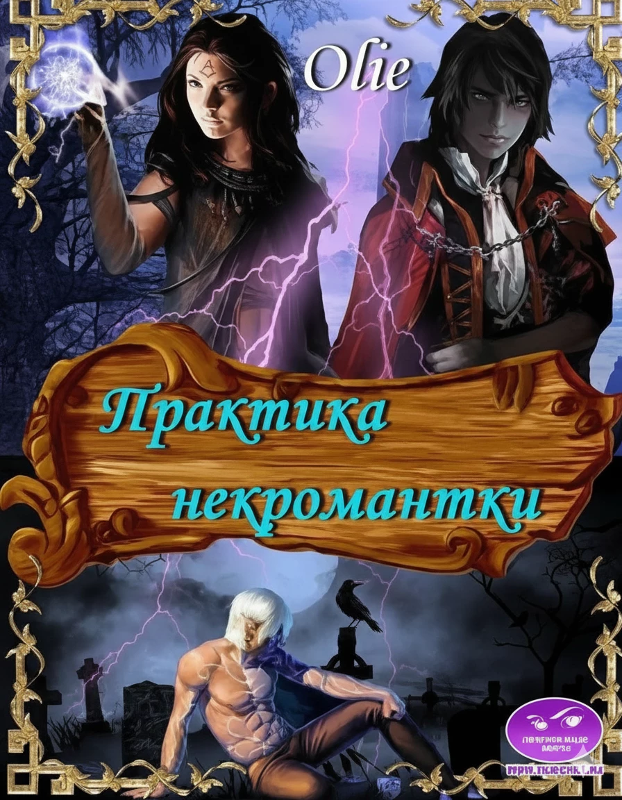Книга Практика некромантки