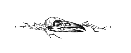 Иллюстрация к книге — Видящий [i_001.webp]