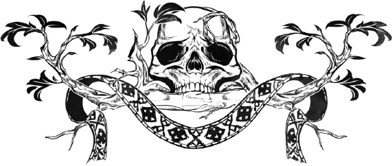 Иллюстрация к книге — Плетущая [i_001.webp]