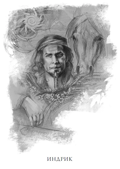 Иллюстрация к книге — Тайна чёрного волка [i_009.webp]