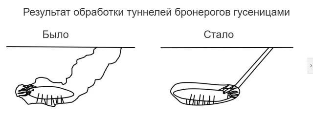 Иллюстрация к книге — Попаданец в тело матери роя пожирателей вселенной. Том ll [i_002.webp]
