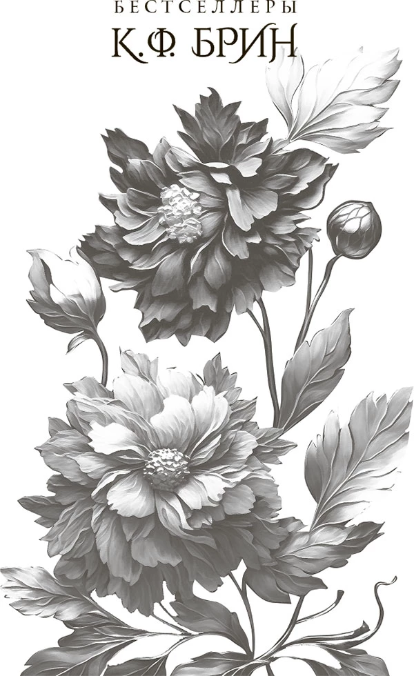 Иллюстрация к книге — Магическое безумие [i_001.webp]