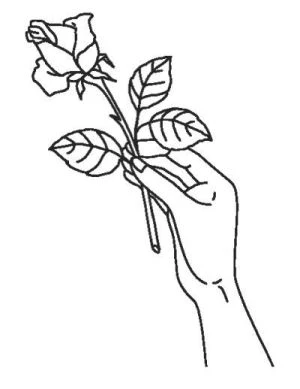 Иллюстрация к книге — Магическое свидание [i_015.webp]