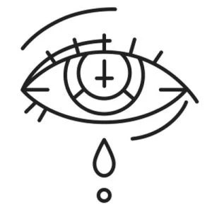 Иллюстрация к книге — Магическое свидание [i_033.webp]