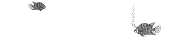 Иллюстрация к книге — Песнь бездны [i_005.webp]