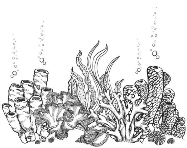 Иллюстрация к книге — Песнь бездны [i_006.webp]